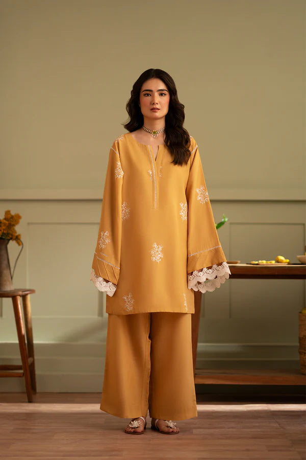 Embroidered 2 piece kurta set