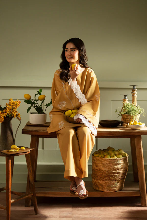Embroidered 2 piece kurta set