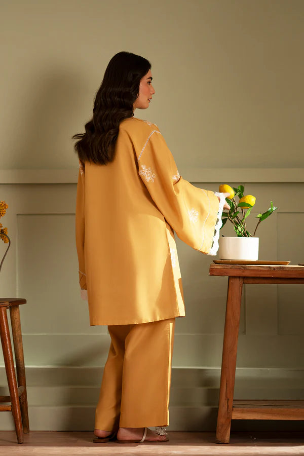 Embroidered 2 piece kurta set