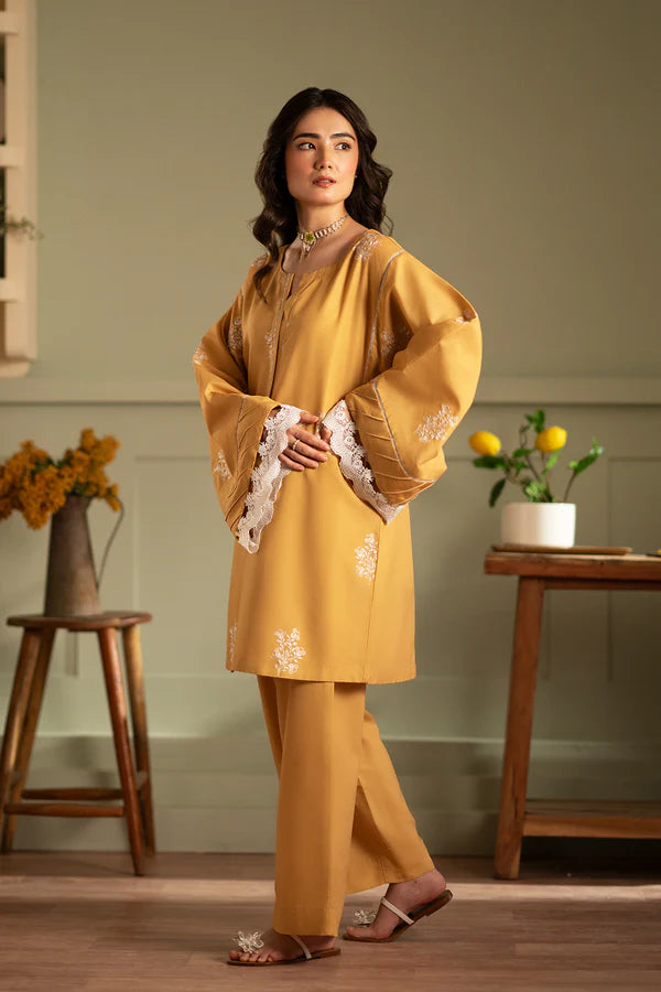 Embroidered 2 piece kurta set