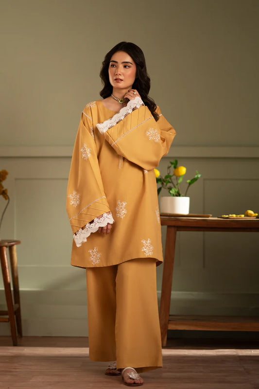 Embroidered 2 piece kurta set
