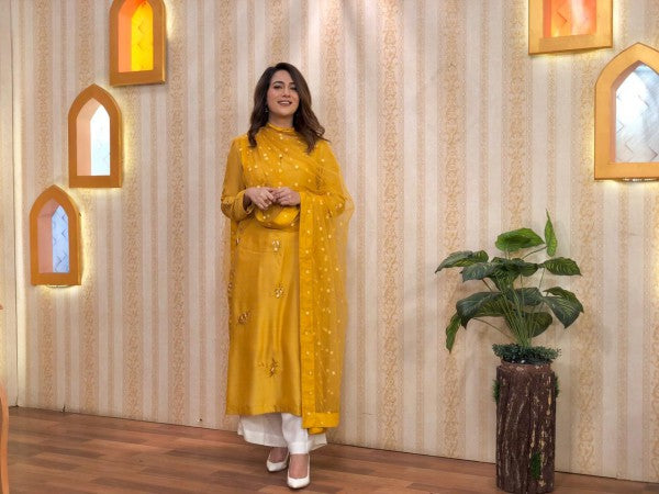 PEELA COTTON NET DRESS