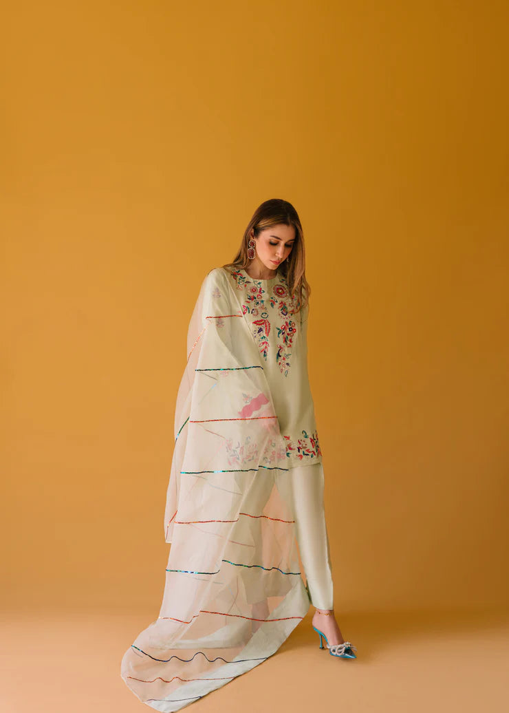Fully embroidered 3p dress