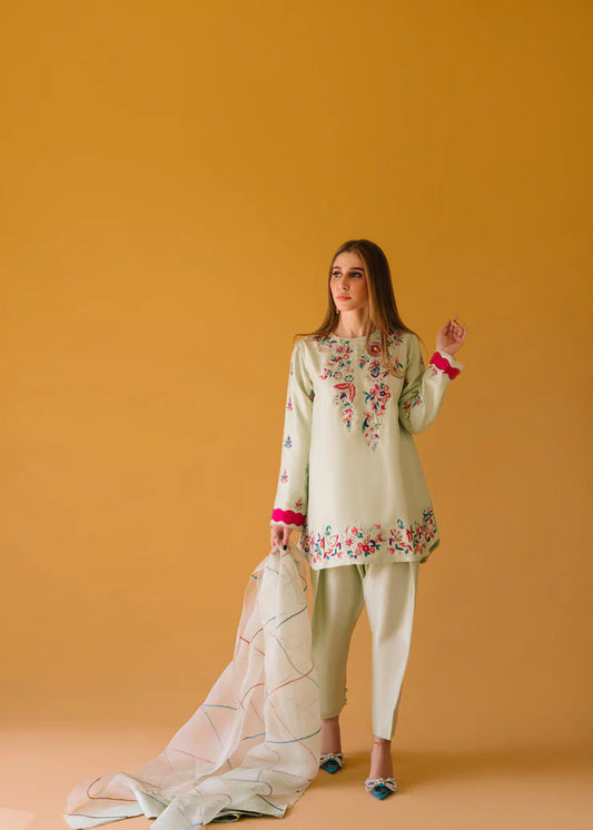Fully embroidered 3p dress