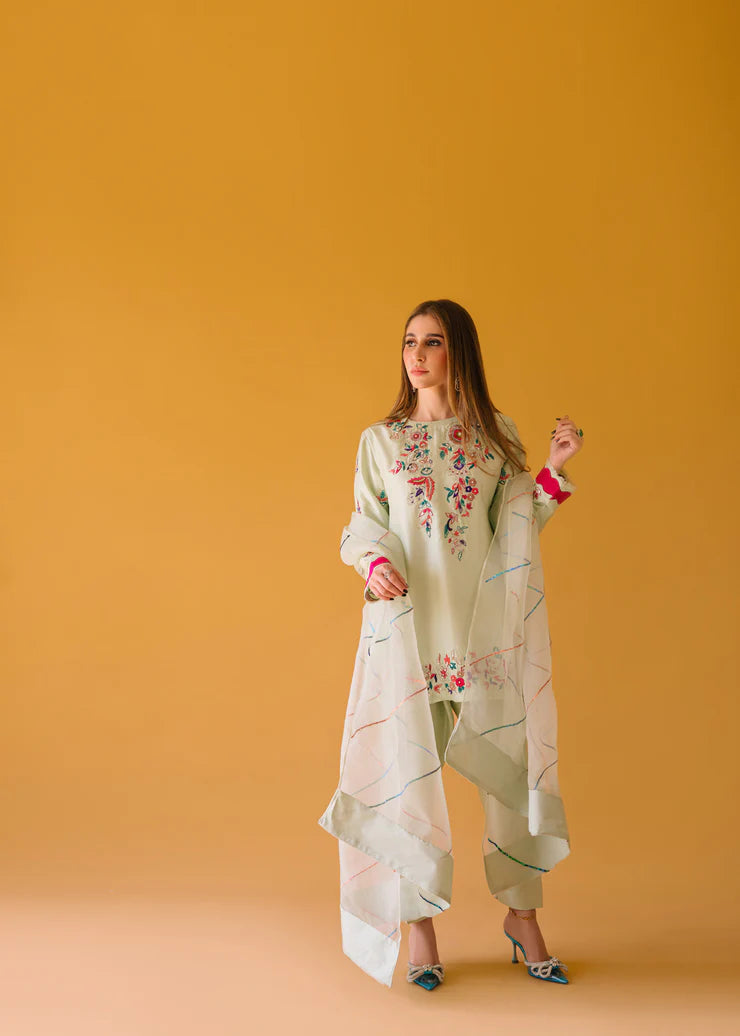 Fully embroidered 3p dress