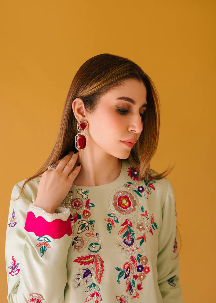 Fully embroidered 3p dress