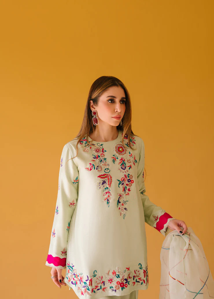 Fully embroidered 3p dress