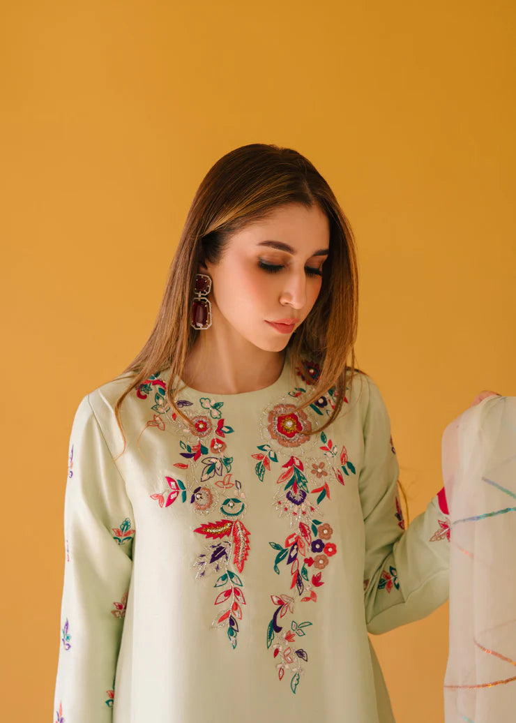 Fully embroidered 3p dress