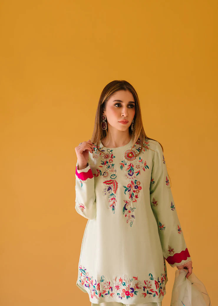 Fully embroidered 3p dress