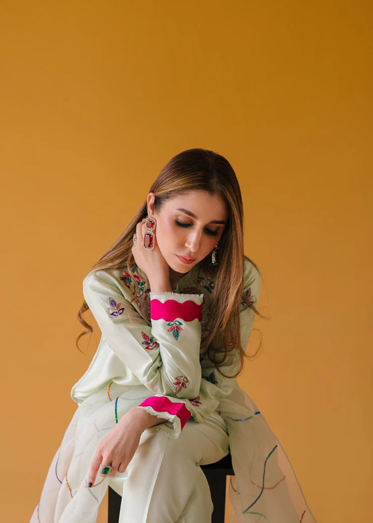 Fully embroidered 3p dress