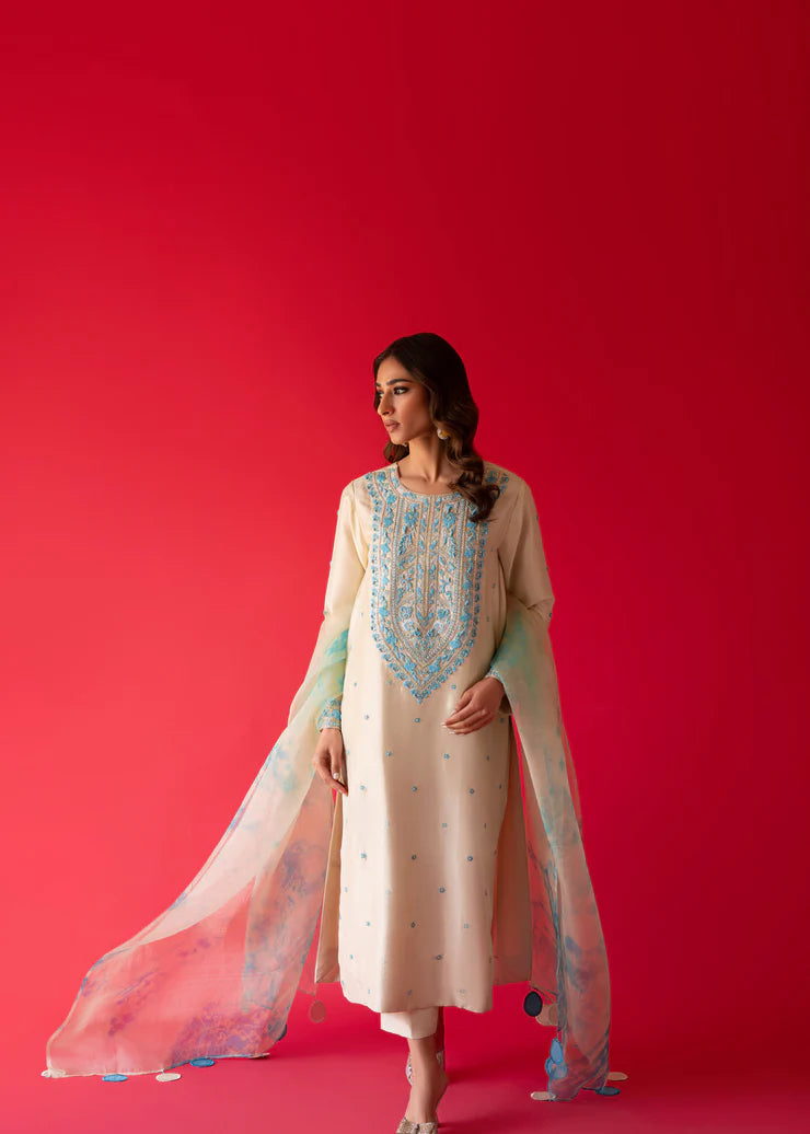 Fully Embroidered 3p Dress