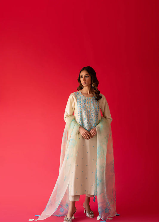 Fully Embroidered 3p Dress