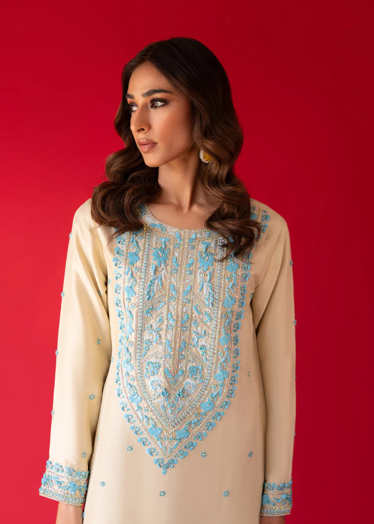 Fully Embroidered 3p Dress
