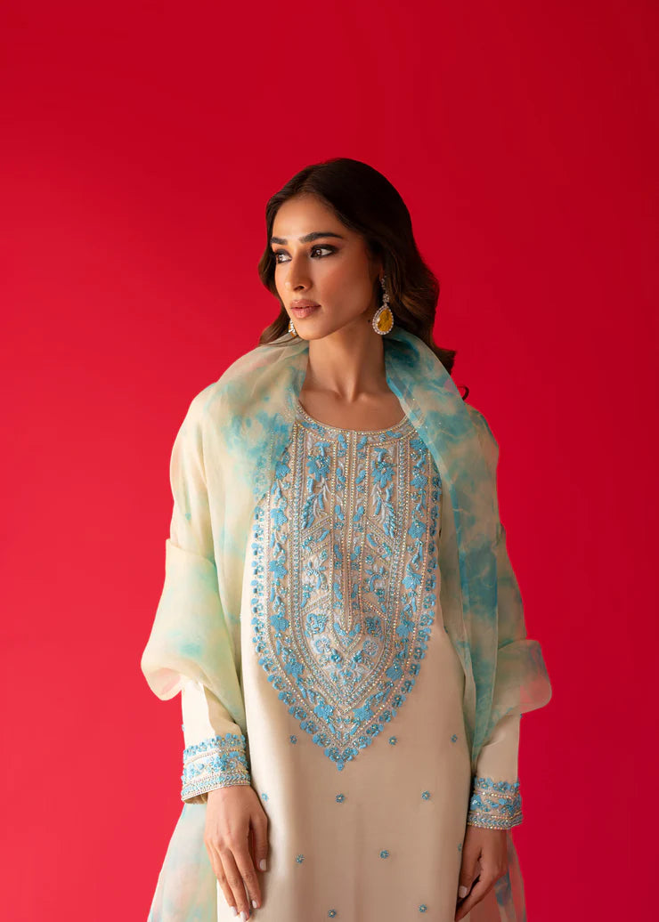 Fully Embroidered 3p Dress