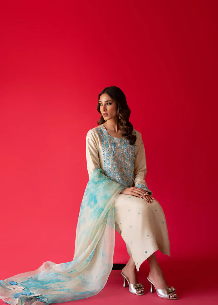Fully Embroidered 3p Dress