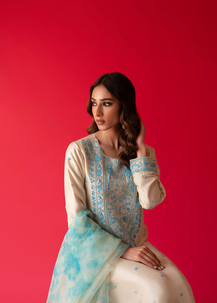 Fully Embroidered 3p Dress