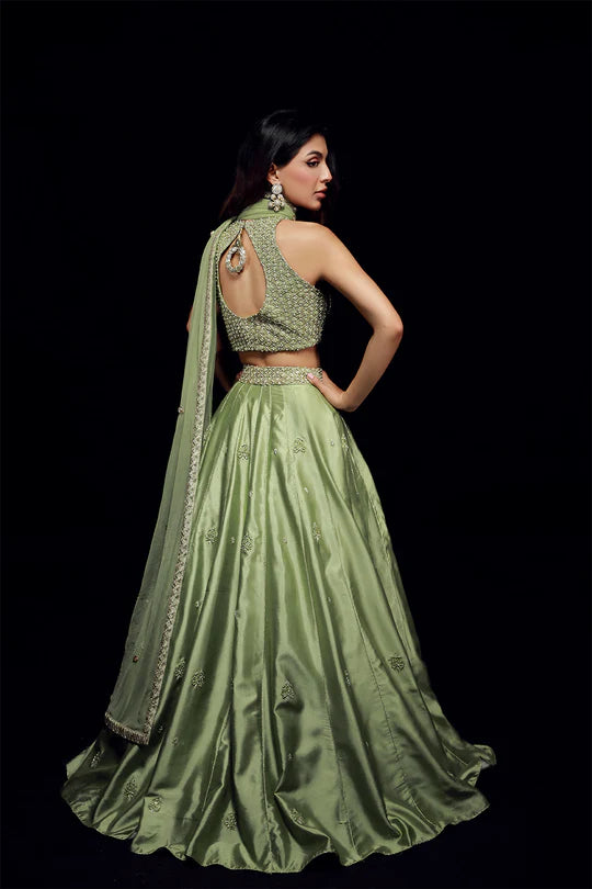 Sage Green Lehenga Choli