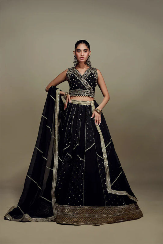 Black Lehenga Choli