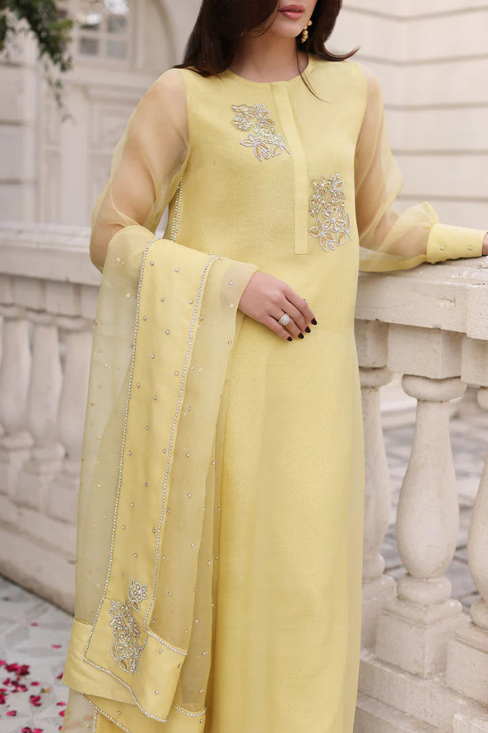 Long Shirt Fully Handmade Work Dress