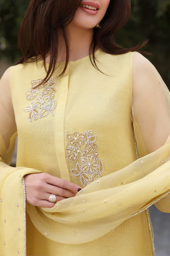 Long Shirt Fully Handmade Work Dress