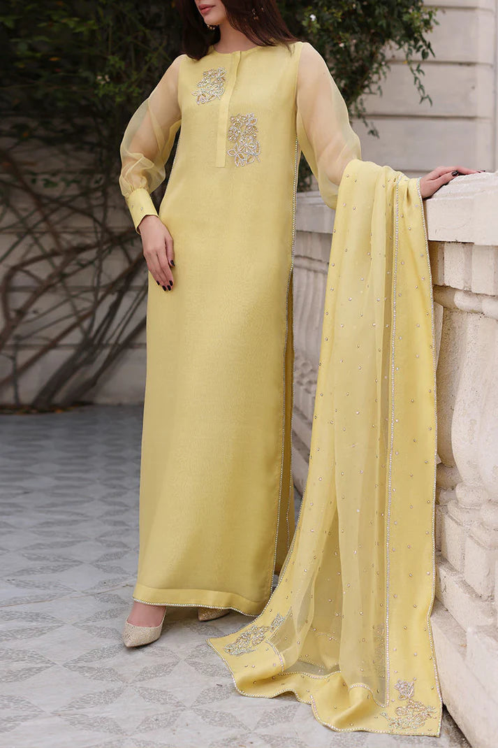 Long Shirt Fully Handmade Work Dress
