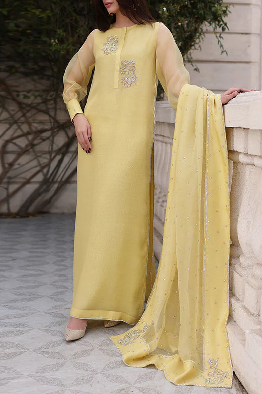 Long Shirt Fully Handmade Work Dress